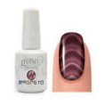 /album/photo-gallery-pictures/magneto-purple-jpg/